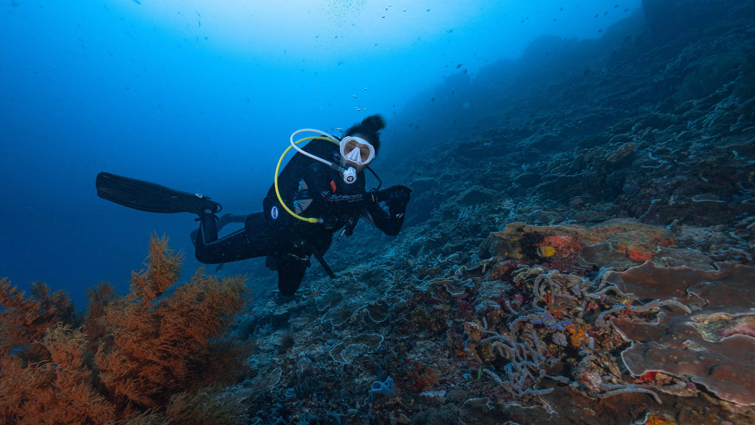 Nusa Penida Diving